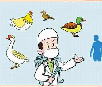 人在感染禽流感之后会出现哪些症状