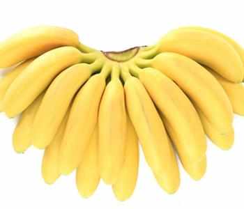 简简单单帮你辨识香蕉是不是催熟的