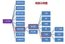 逻辑思维方法：系统思维法