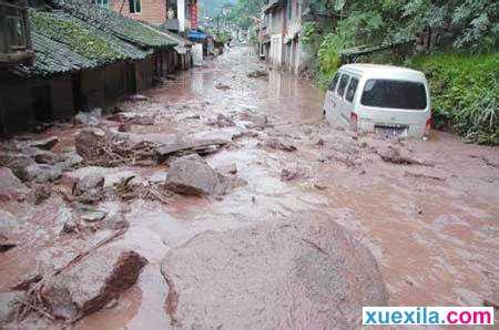 滑坡泥石流等地质灾害的危害