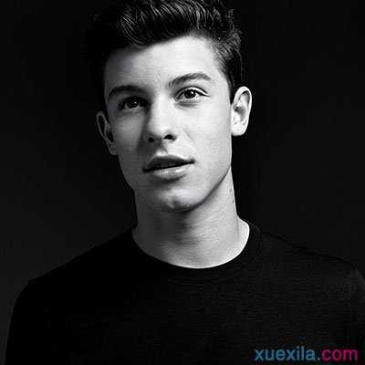 Shawn Mendes - Stitches 歌词