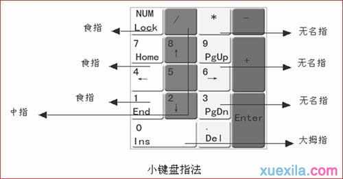 数字小键盘的功能及指法练习