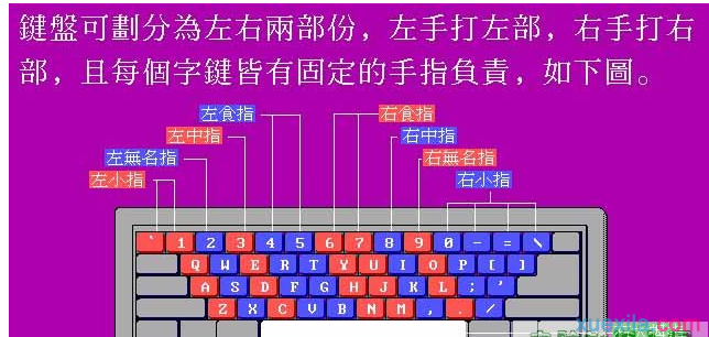 电脑键盘指法图