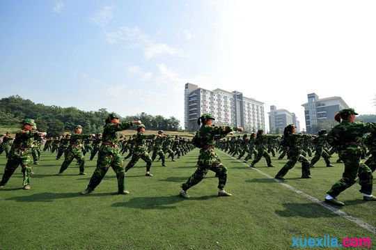 大学生军训的心得感悟3篇