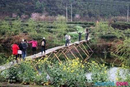 中国最美乡村的金色童话——婺源旅游攻略