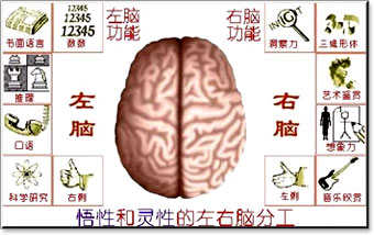 阅读过程中的视知觉范围