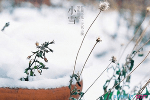 小雪祝福语2015