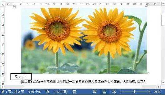 Word2013中怎样对图片进行自动编号