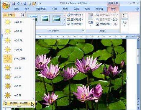 Word2007如何调整图片亮度