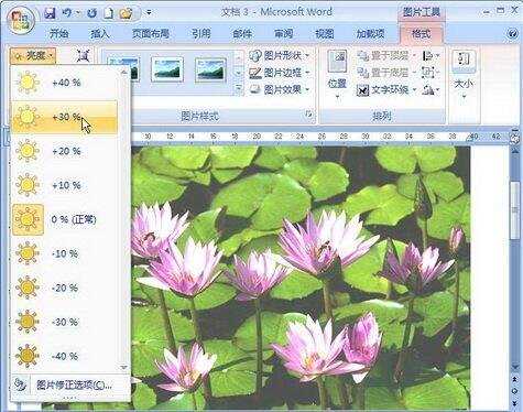 Word2007如何调整图片亮度