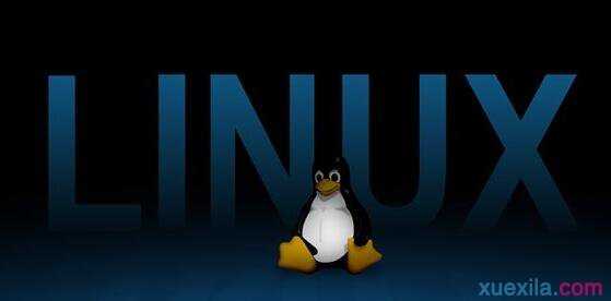怎样查看Linux系统的版本