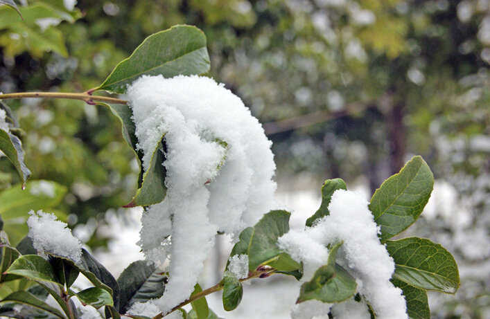 下雪的图片欣赏