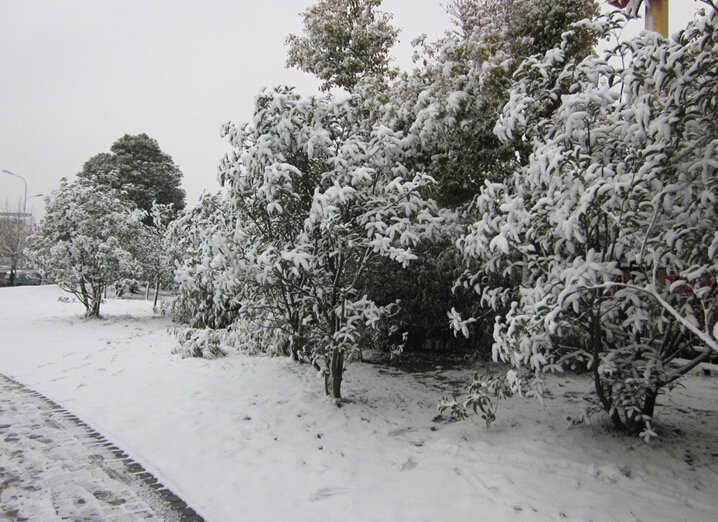 下雪的图片欣赏