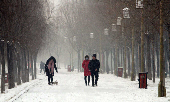 下雪的图片欣赏