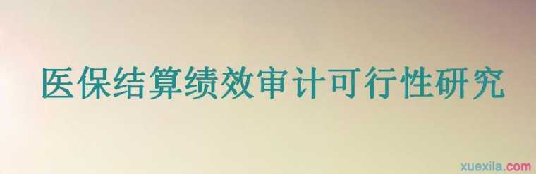 医保结算绩效审计可行性研究论文