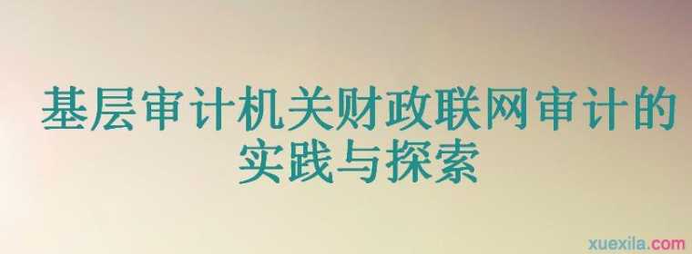 基层审计机关财政联网审计的实践与探索论文