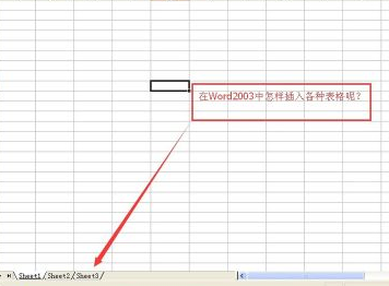 怎么在Excel2003中插入工作表