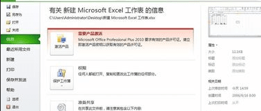 excel2010怎么显示照相机功能