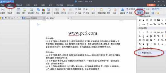 WPS里面怎么插入选择框