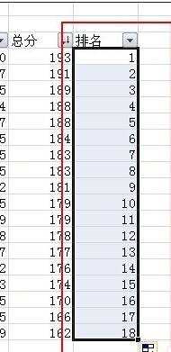excel怎么排名次 excel2007如何排名次