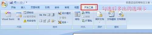 怎么在word2007中使用标签功能