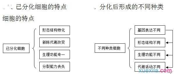 2016高考生物总复习