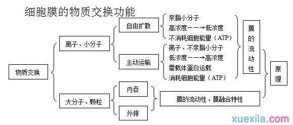 2016高考生物总复习