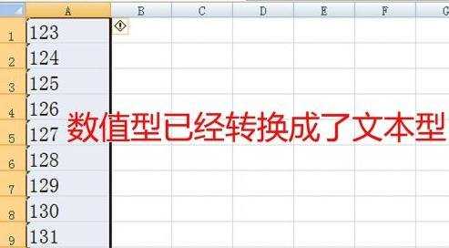 excel数值型数据转成文本型数据的方法