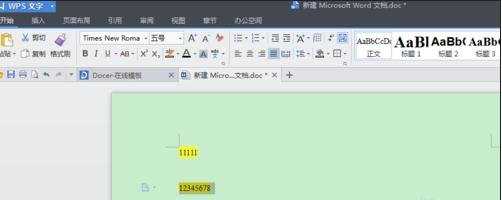 WPS文字怎么设置相同字体格式图文教程