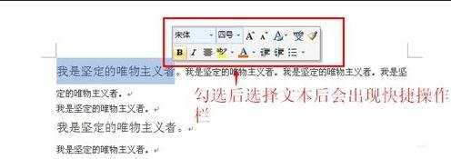 怎么在word2007中使用标签功能