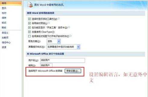 怎么在word2007中使用标签功能