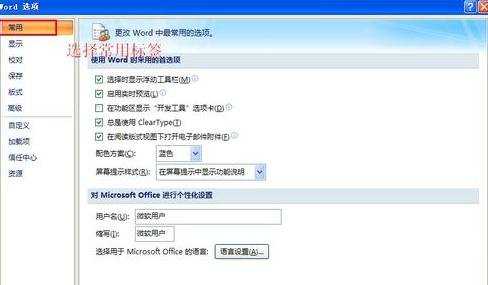 怎么在word2007中使用标签功能