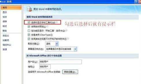 怎么在word2007中使用标签功能