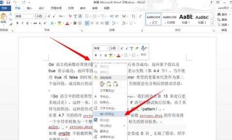 怎么在word2013插入特殊符号