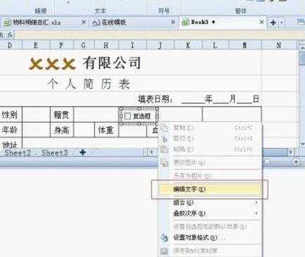 WPS表格中怎么制作带钩方框