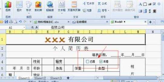 WPS表格中怎么制作带钩方框