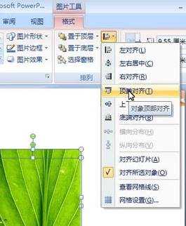 ppt2007中如何制作图片烧焦效果