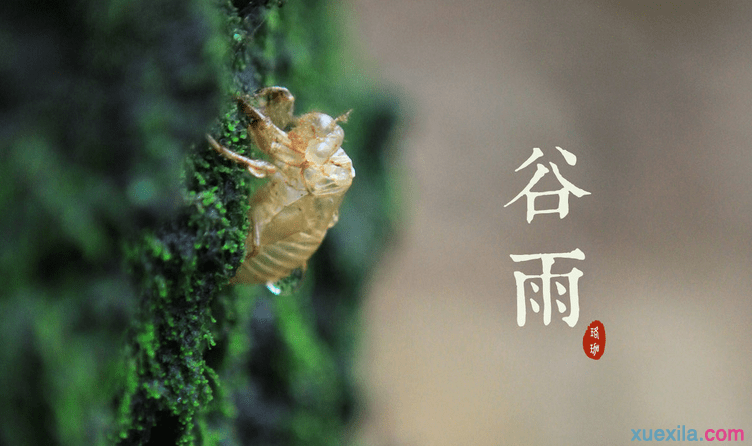 谷雨养生要注意3要素