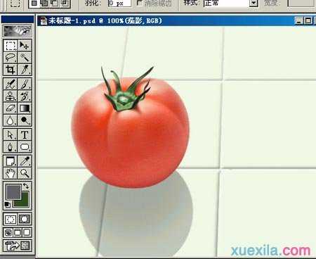Photoshop绘制蕃茄