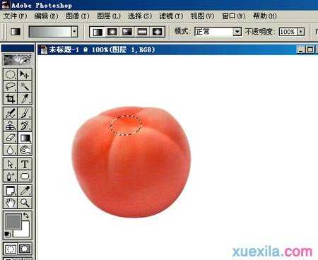 Photoshop绘制蕃茄