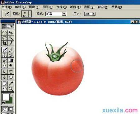 Photoshop绘制蕃茄