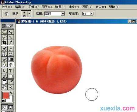Photoshop绘制蕃茄
