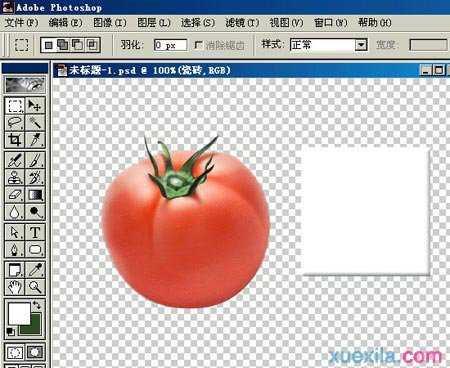 Photoshop绘制蕃茄