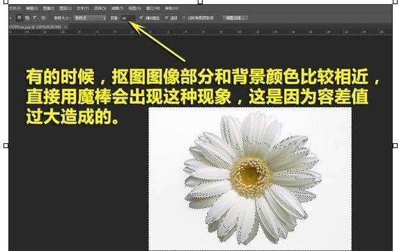 photoshop怎样用魔棒抠图