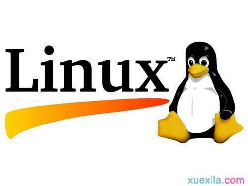 linux怎么查看内存