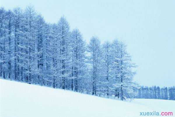 冰雪景色摄影技巧