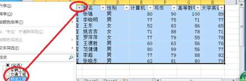 excel2010 自动筛选的教程