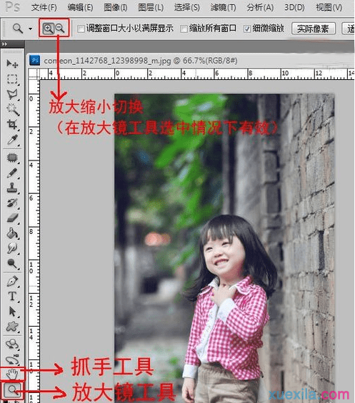 photoshop中如何放大缩小图片