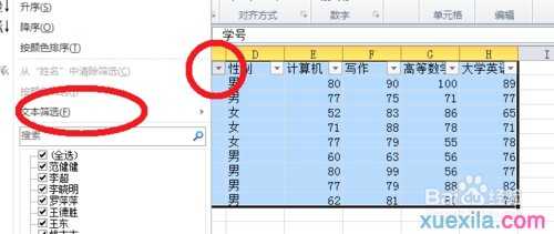 excel2010版本自定义筛选的方法