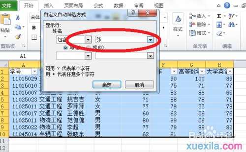 excel2010版本自定义筛选的方法